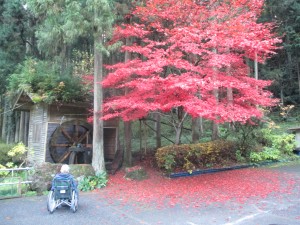 IMG_1158