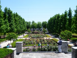P1030239