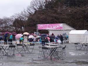 DSC00348
