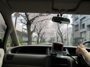 IMG_5085
