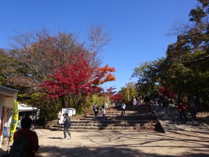 DSC01863
