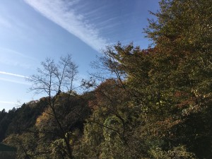 IMG_1635
