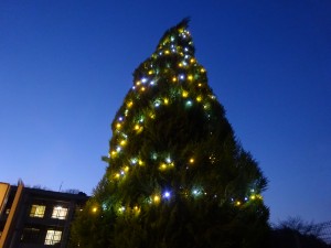 DSC02096