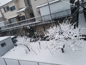 20180202_064142
