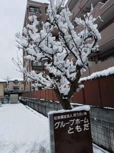20180202_095242
