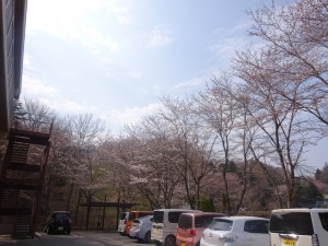 DSC02683