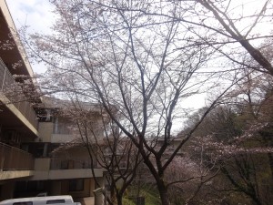 DSC02684