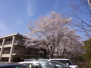 DSC02711
