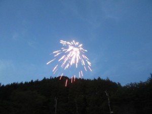 IMG_8259