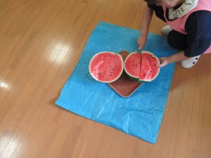 IMG_1247